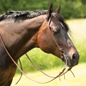 Billy Royal Oiled Hermann Oak Split Ear Headstall with Floral Buckle