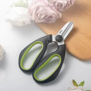 Stainless Steel Pruning Shears, Sharp and Durable Blade, Round and Smooth Head, Essential Garden and Home Trimming Tool