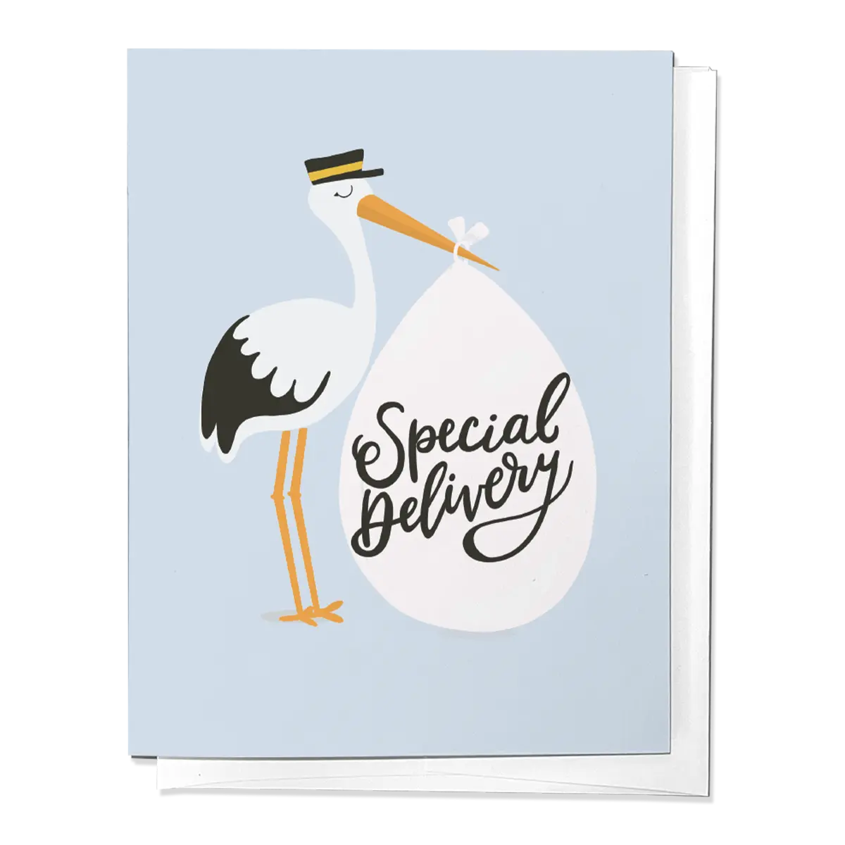 Stork Baby Newborn Congrats Greeting Card