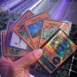 NAMA Harvest 365 Trading Card Game [Air Constellation Cards] - Educational Trading Card Game for Kids - Promotes Reading & Plant Science - Hands-On Learning - Screen-Free - Community-Funded - Great For Children With Autism