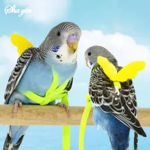 Adjustable Parrot Bird Harness Leash Set Anti-bite Training Harness Parrots Outdoor Flying Rope Cockatiel Small Birds Supplies