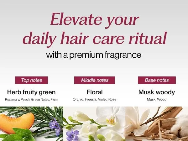 [Spider Silk Protein Peptide Duo] INERTIA Professional Forte Shampoo & Treatment Set - 2-Week Hair Loss & Damage Care