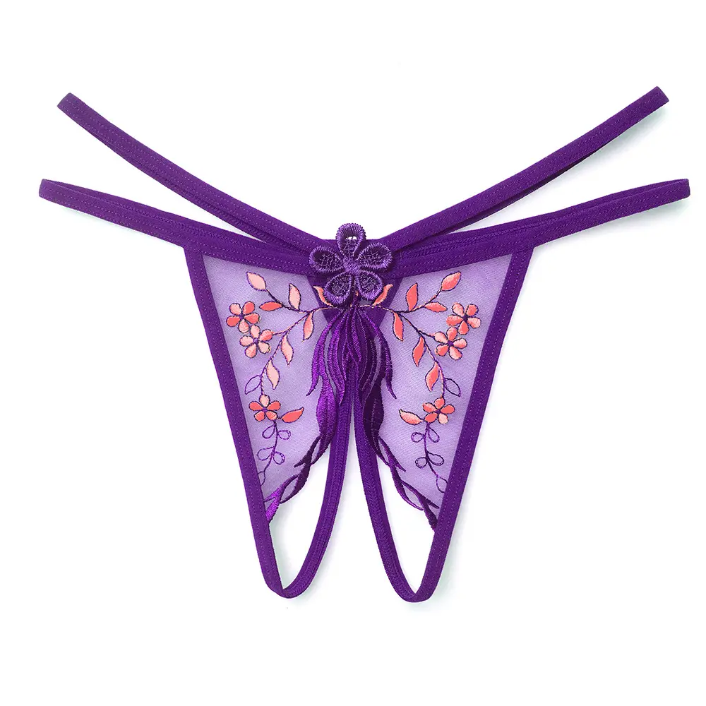 Embroidered Underwear Women's Open Crotch Sexy Cutout Low Waist Thin Strap T-Back