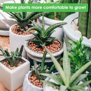 5lbs 10-15mm Clay Pebbles for Indoor Plants Hydroponic Aquaponics Natural Leca Balls Soil Root Development Orchid Potting Mix Organic Coco Home Garden