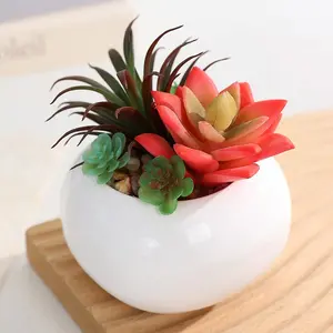 4 Piece Oval Ceramic Pot Fake Succulent Plant, Office Desktop Home Decor, Desk Healing Mini Greenery Ornament, Outdoor No Watering Realistic Plants