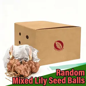 Mixed-color lily bulbs, perennial bulbs, easy to plant and maintain, garden balcony potted decorative seedlings, cold-resistant and heat-resistant, a must for home gardening landscapes