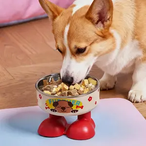 Stainless steel elevated pet bowls for cats, designed to be spill-proof and non-slip, ideal for kittens and puppies.