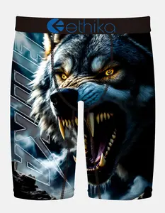 ETHIKA Grit And Glory Staple Mens Boxer Briefs