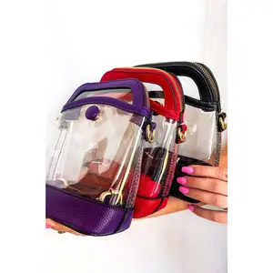 Clear Mini Crossbody Bag