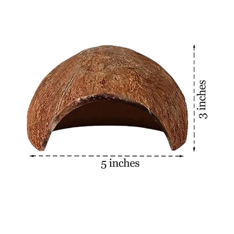 Betta Bundle w/ Coconut Cave, Driftwood, Floating Feeding Ring and Botanicals