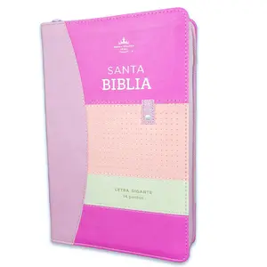 RVR60 Bible Manual Size Giant Letter i with Leather Tech Dots, Pink/Pink/Gray, Zipper, Index in Spanish, Model 9798885168953