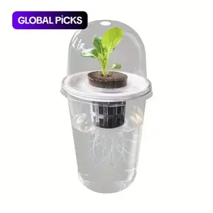 Water Culture Seed Pot Plastic Transparent Cylinder Set, Clear Nursery Pots, Seedling Pots, Hydroponic Planters, High Transparency Water Cultivation Cup, Visible Root Growth, Small Holes Design, Plastic Planter Box #GLOBAL PICKS