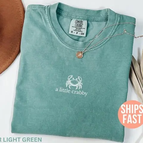 Comfort Colors A little Crabby Shirt, Minimalist Beach T-shirt, Funny Meme Shirt, Summer Aesthetic Shirt, Funny Beach Shirt, Coastal Shirt