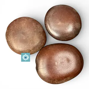 3 PCS Corazon de Chango Seeds - Agba Polja Seeds for Santeria, Religious Spiritual Protection Amulet, Semillas Corazon de Shango for Limpieza, Fuerza y Proteccion