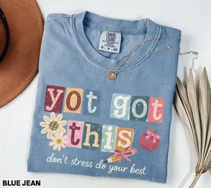 Comfort Colors Test Day Teacher Shirt, Retro State Testing Tshirt, You Got This School Team, Motivational Test Coordinator Final Exam Week Tee, Full Sizes