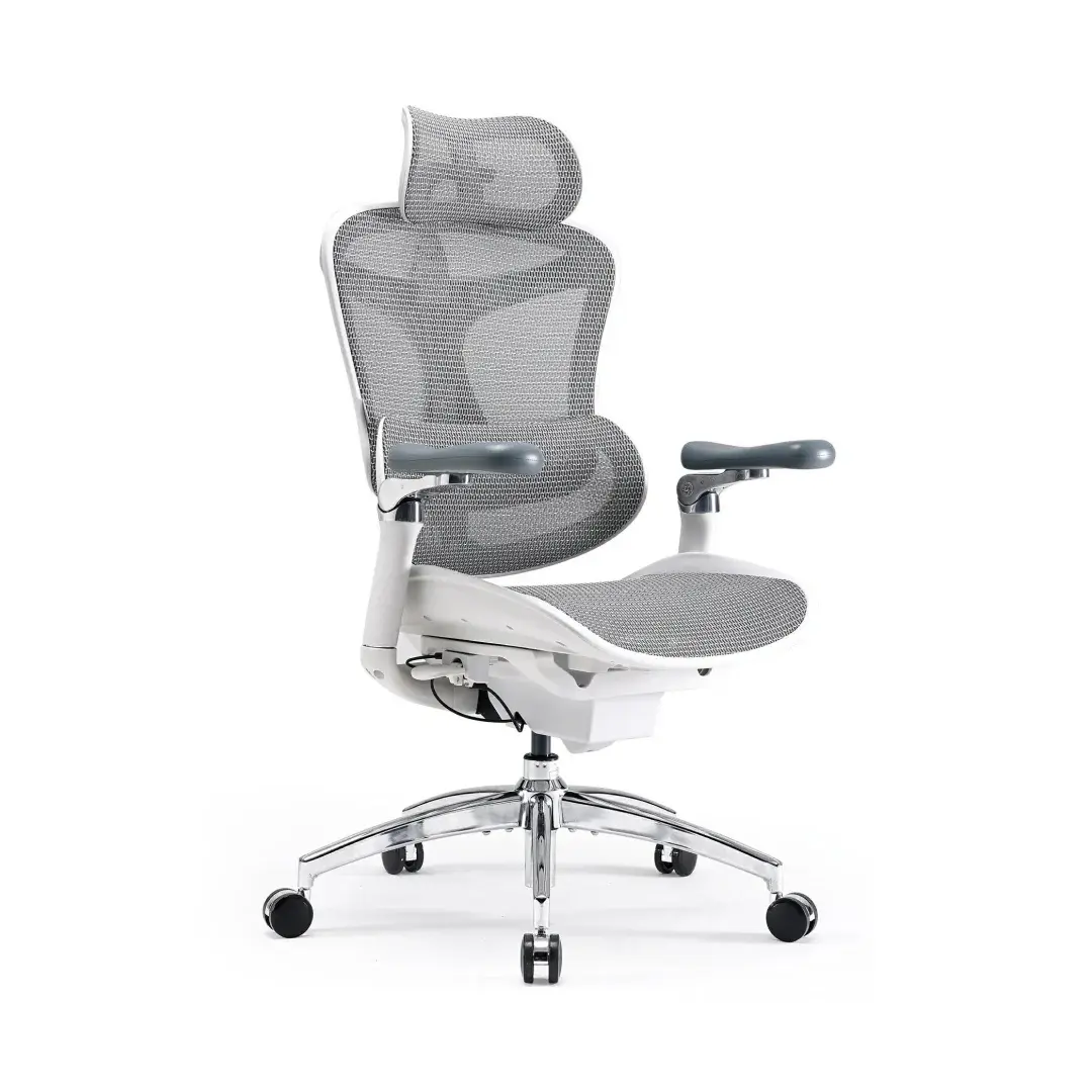 SIHOO Doro C300 Pro Ergonomic Chair with Lumbar Support, Seat Depth Adjustment & Headrest, Breathable Mesh Office Chair for Long Sitting