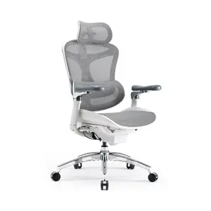 SIHOO Doro C300 Pro Ergonomic Chair with Lumbar Support, Seat Depth Adjustment & Headrest, Breathable Mesh Office Chair for Long Sitting summerwins
