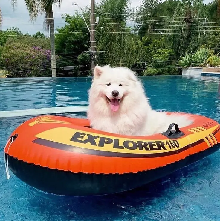 Intex Explorer™ Inflatable Boats