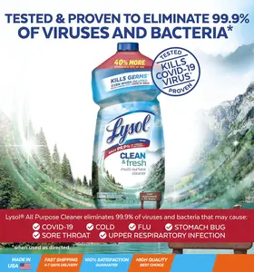 Multi-Surface Cleaner, Sanitizing and Disinfecting Pour, to Clean and Deodorize, Cool Adirondack Air, 40oz