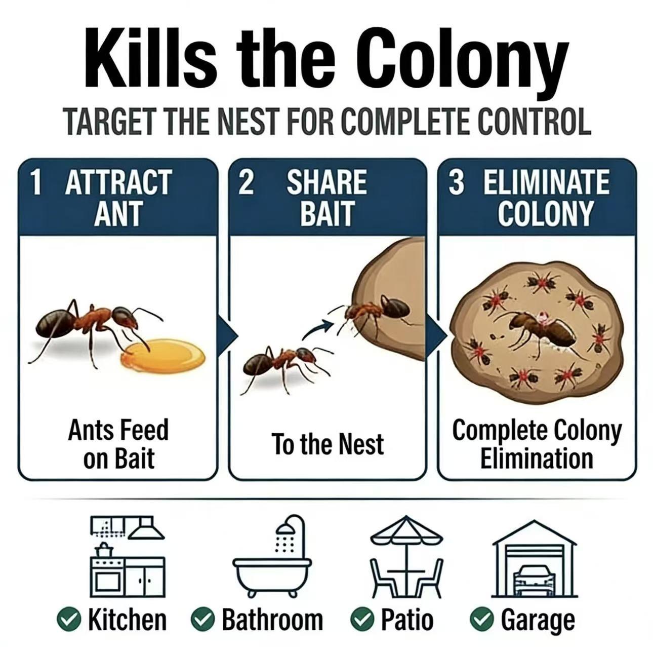 Effective Ant Killer Bait Gel (2 Pieces) | Professional Grade Ant Remover for Home