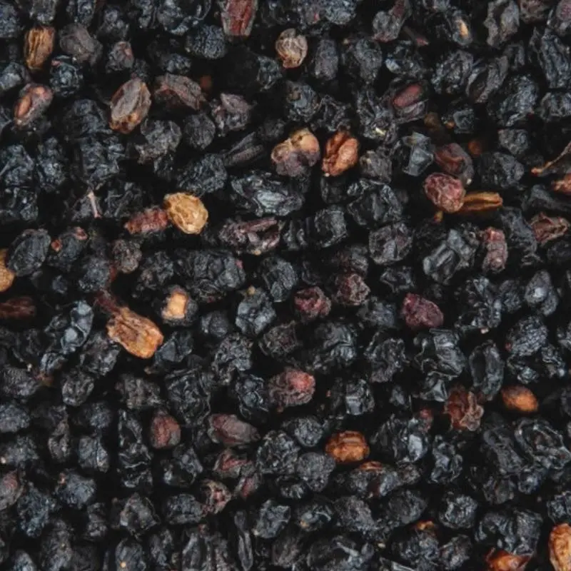 Dried Elderberry Spice - 0.5oz Whole Berries Collectible Cultural Item, Protection Charms for Abundance, Emotional Healing, Enhance Connection to Spiritual Realm, Freya and the Fae Traditions Incense Use