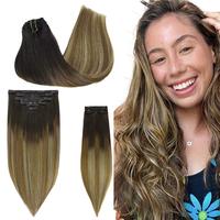 Dirty Blonde Omber (2/6/18)