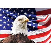 For American Eagle-2pcs