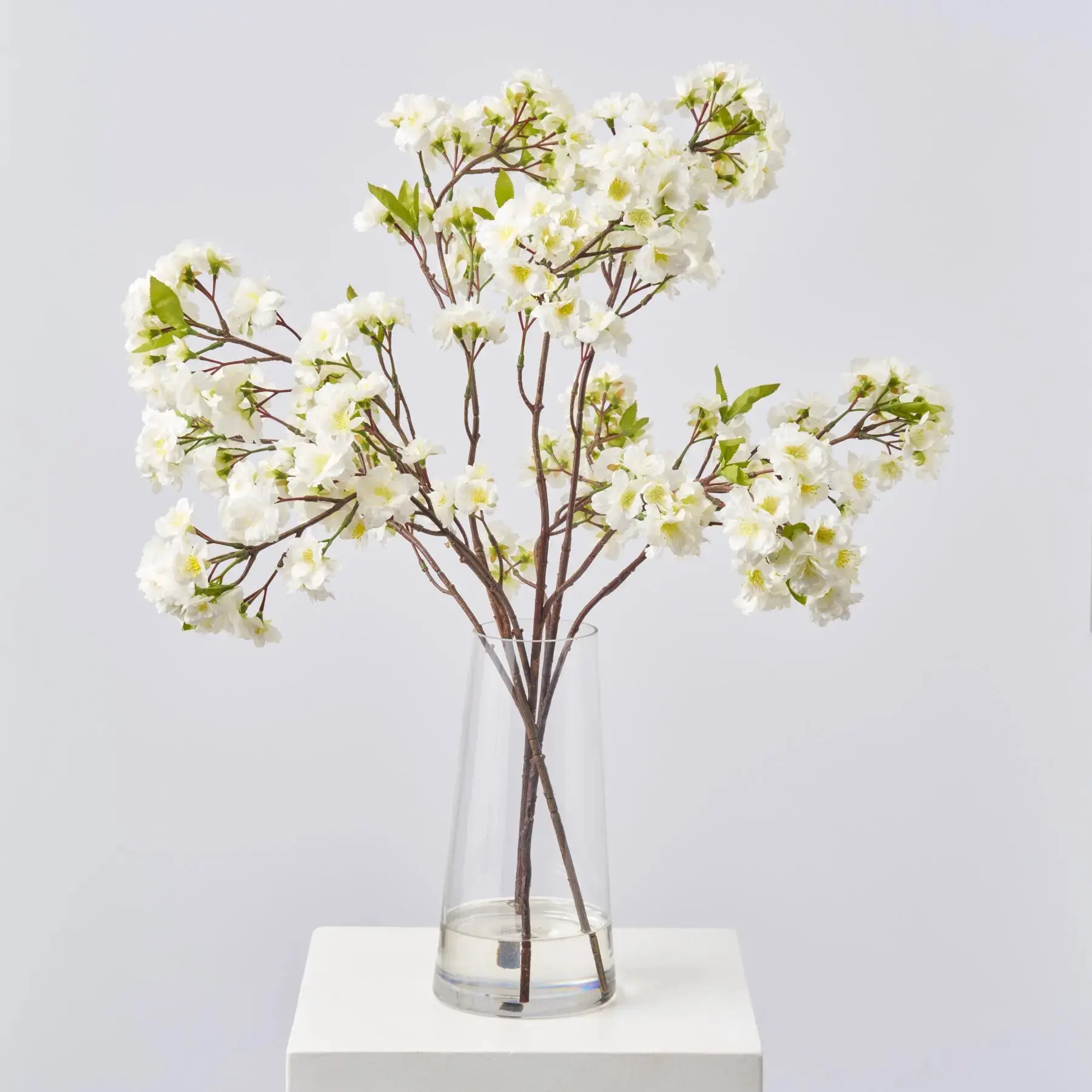 Lifelike White Cherry Blossom Branches in Traditional Glass Tapered Cylinder Vase, Spring-Summer Water Illusion Plants Decor Centerpiece for Room Home Decor, Decorative, Photorealism