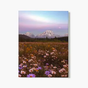 Soft Frontier - Glass Print