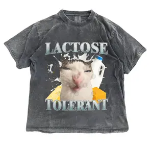 Lactose Tolerant Funny Cat Meme T-Shirt Lactose Tolerant T-Shirt Shortsleeve Maternity