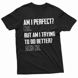 Funny am I perfect T-shirt hilarious Mens Womens Tee Shirt Sarcastic sarcasm TeeShirt Gift for Him Her Graphic tee Shirt