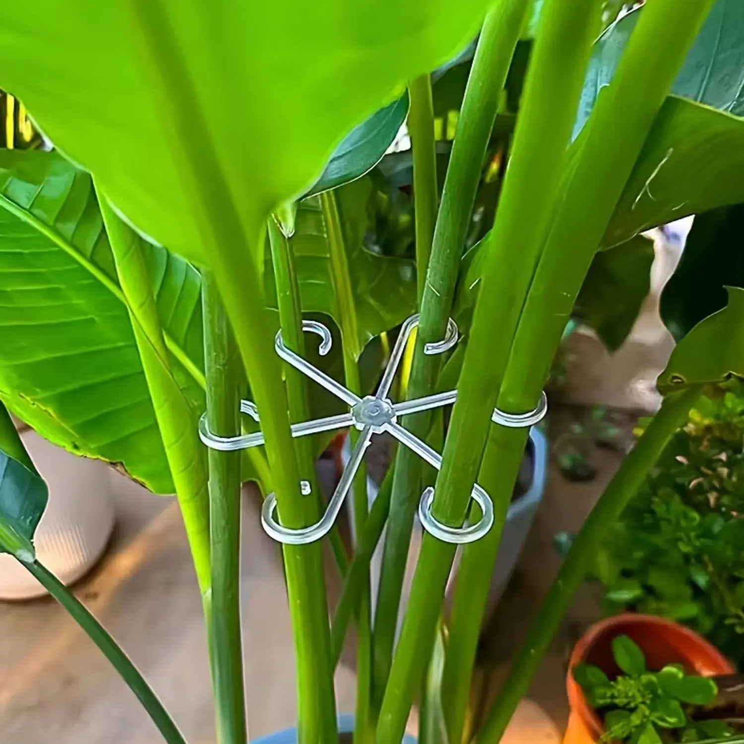 Plant Stem Support Clips Set of 8, Climbing Plant Stand, Flower