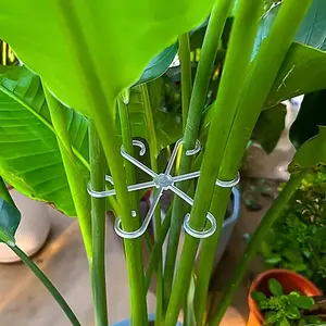 Plant Stem Support Clips Set of 8, Climbing Plant Stand, Flower Stem Holder, Bamboo Support Clip, Garden Floral Greenery Stabilizer