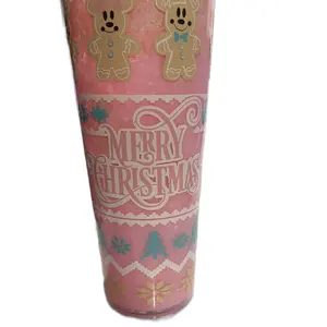 Gingerbread Minnie Snowglobe Tumbler