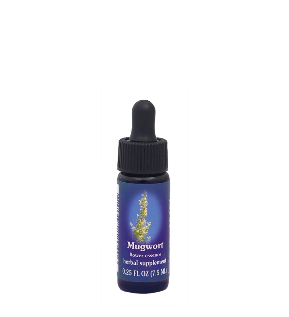 FES Artemisia Douglasiana Mugwort Flower Essences - Aromatherapy Solution for Aromatherapy Enthusiasts, Natural Health & Wellness Support