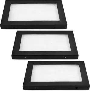 3 Pack Riker Display Large Collectibles Display Transparent Top for Collectibles Jewelry Pins (12 x 8 x 0.98 Inch)