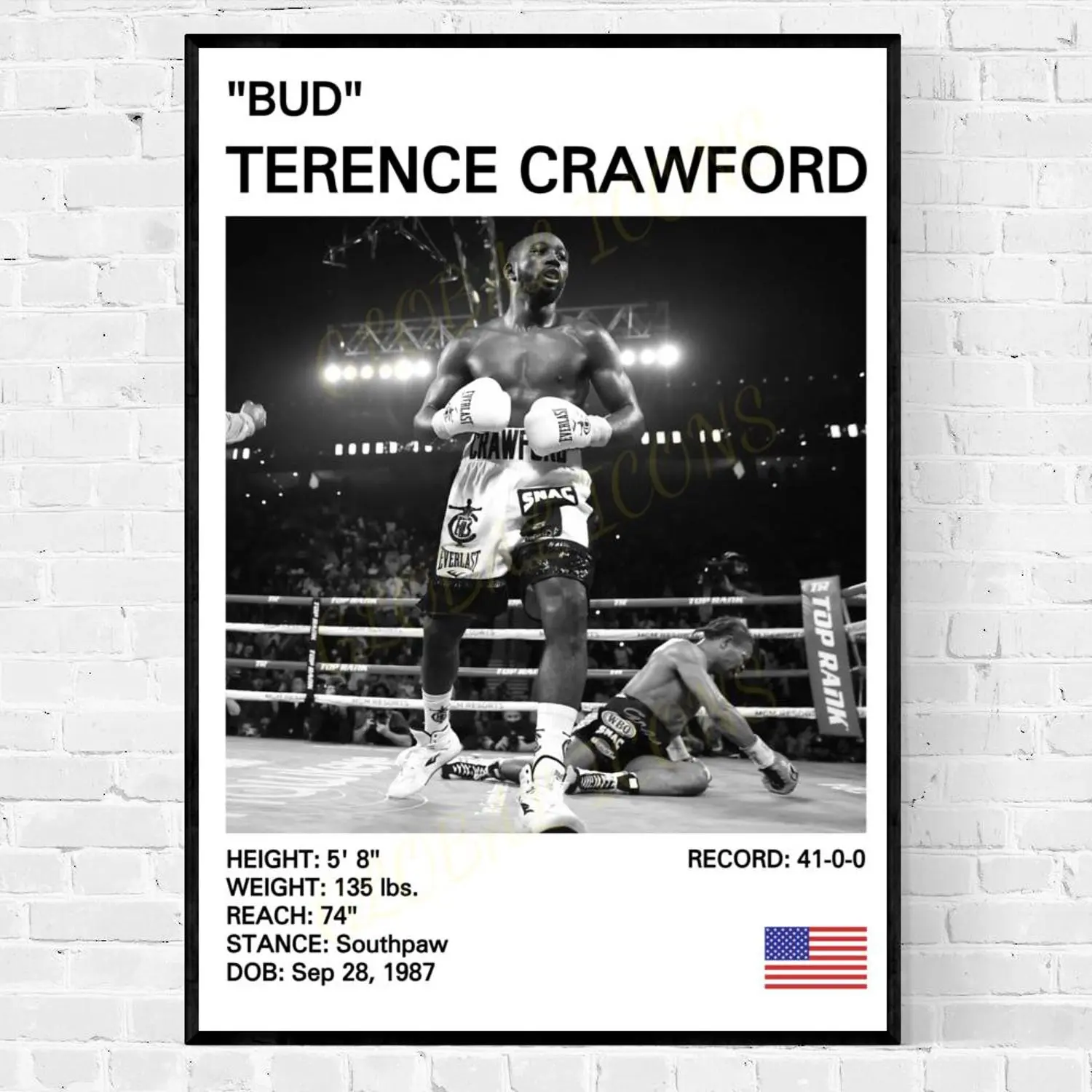 Terence Crawford Poster, Terence Crawford Print, Boxing Poster