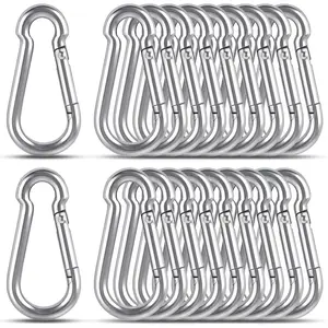 2 inch Carabiner Clip, 304 Stainless Steel Spring Snap Hook, Small Metal Clips for Key Chain/Flag/Feeders/Dog Leash/Camping/Hiking/Fishing/Hanging
