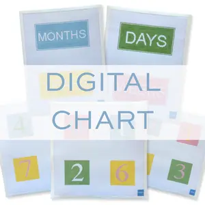 Needlepoint Baby Milestone Block Canvas (Digital Chart)