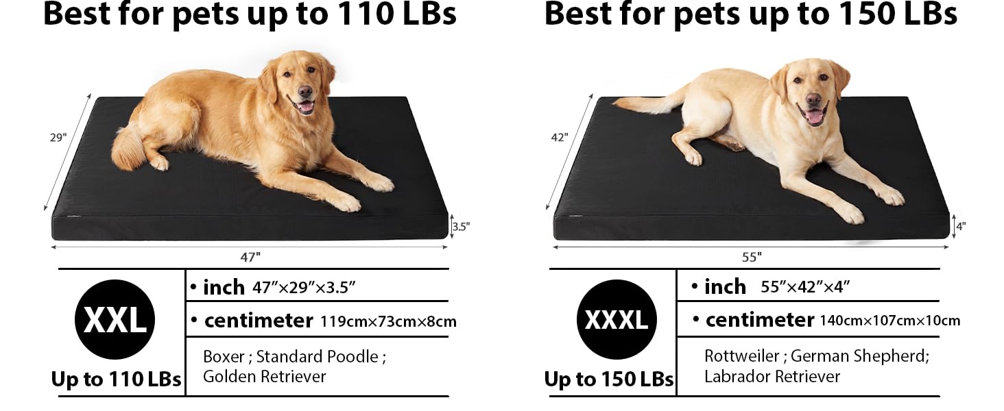 Orthopedic Dog Bed for Large Aggressive Chewers - Parachute Tough Striped Fabric, Chew-Resist. & Scratch-Resistant, 4" Joint Support Foam, Self-Cooling Modern Dog Mattress for Longevity Orthopedic Dog Bed for Large Aggressive Chewers - Parachute Tough Striped Fabric, Chew-Resist. & Scratch-Resistant, 4" Joint Support Foam, Self-Cooling Modern Dog Mattress for Longevity