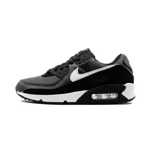 Air Max 90 "Iron Grey" CN8490 002