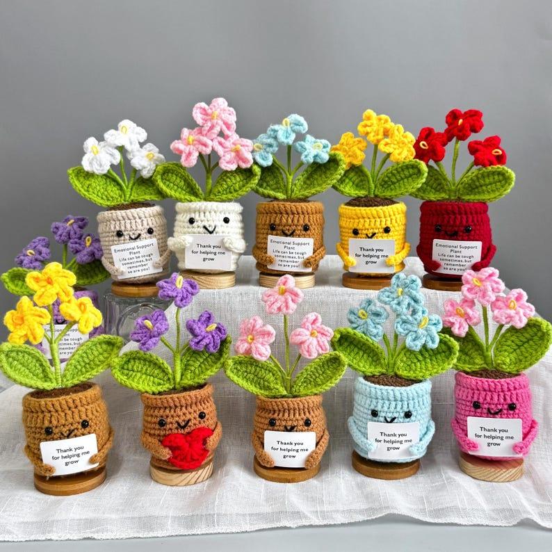 Handmade Crochet Forget me not Flowers with Hugging Heart,Emotional Support Potted Plant,Supportive Gift Au Flower,Mother's Day gift