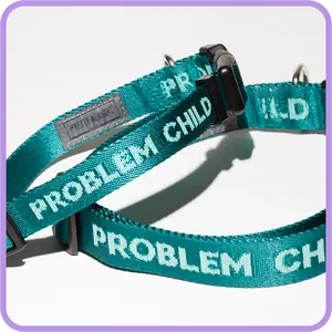 Problem Child (Teal) Dog Collar