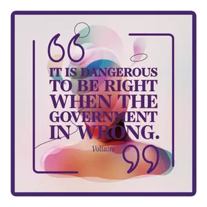 Voltaire Quote Political Protest Sticker Decal - Activist Laptop Decal - Bubble-free sticker