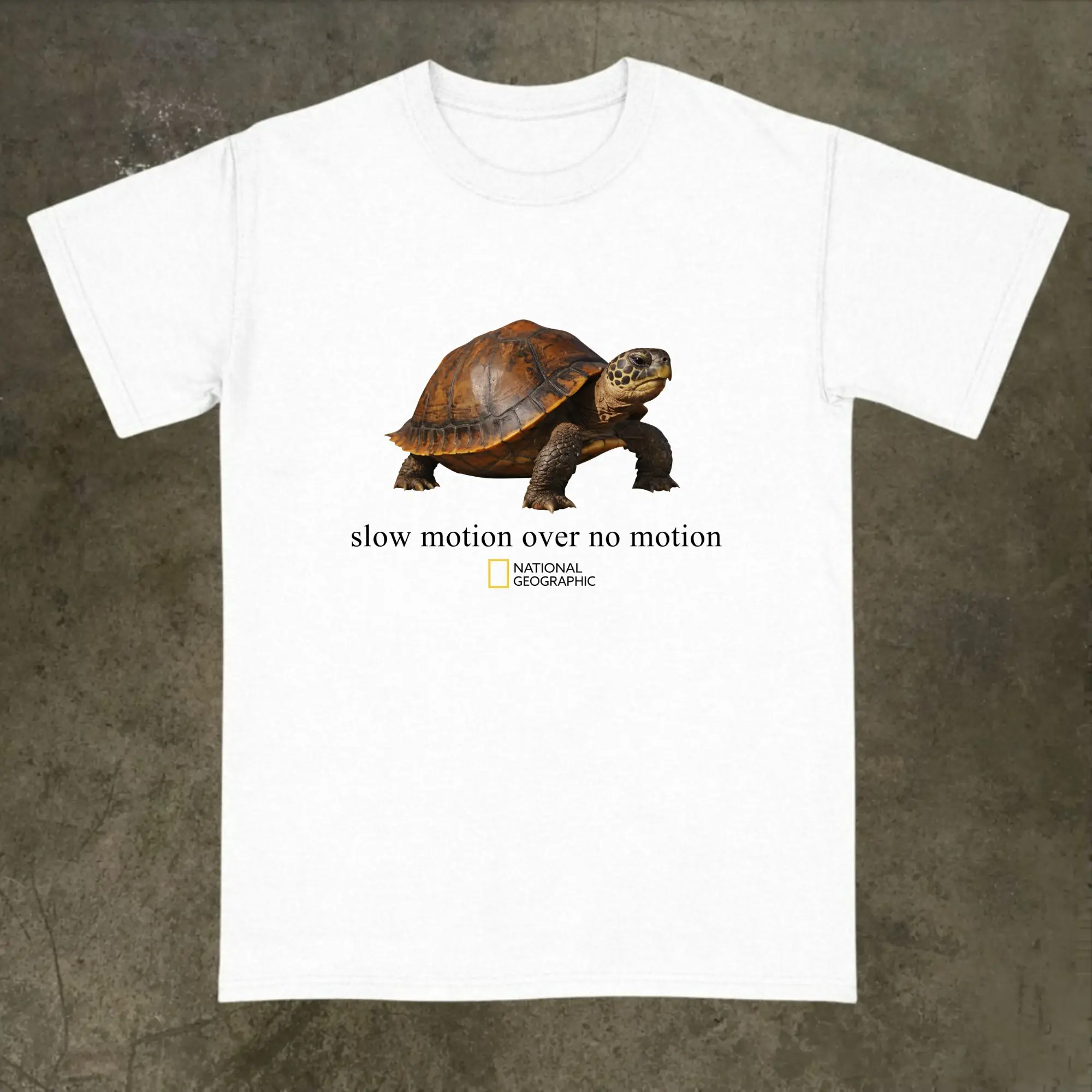 [Winter Outfits]National Geographic "Slow Motion Over No Motion" Turtle T-Shirt, Funny Graphic Tee, Animal Tee, Vintage Cotton Shortsleeve Basic Top, Y2k, Gifs for Men's and Women's Graphic Tee, Gifts for Animal Lovers, Casual Streetwear Unisex Top