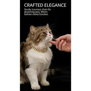 Gold Cuban Chain Pet Collar, a shiny accessory suitable for cats and dogs