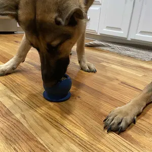 Freezball - Durable Fillable Dog Chew Bone