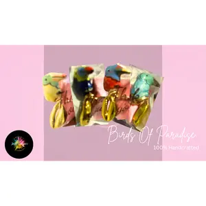Ring- Birds of Paradise