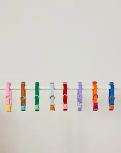 The Fritz Dog Collar - Waterproof, Adjustable, Easy to Clean