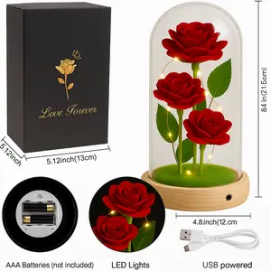 Romantic LED Rose Dome Glass Light with Red Eternal Flowers USB & Battery Operated Night Light for Valentine's Day Weddings Home Décor 8.4in x 5.31in x 10.24in